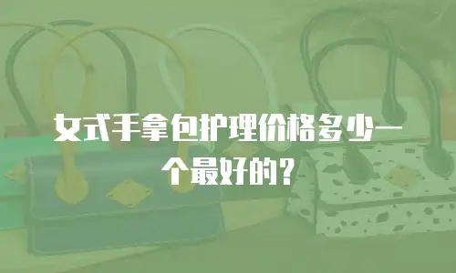 女式手拿包护理价格多少一个最好的？