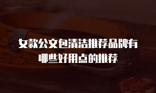 女款公文包清洁推荐品牌有哪些好用点的推荐
