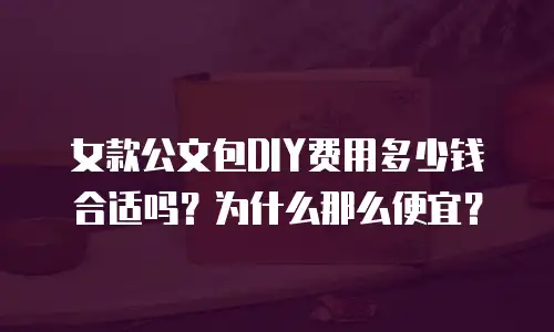 女款公文包DIY费用多少钱合适吗？为什么那么便宜？