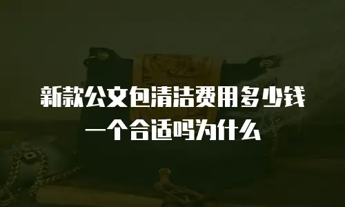 新款公文包清洁费用多少钱一个合适吗为什么