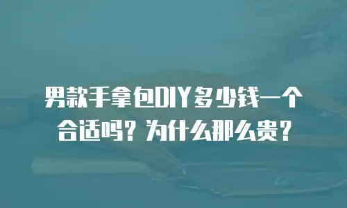 男款手拿包DIY多少钱一个合适吗？为什么那么贵？