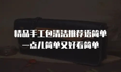 精品手工包清洁推荐语简单一点儿简单又好看简单