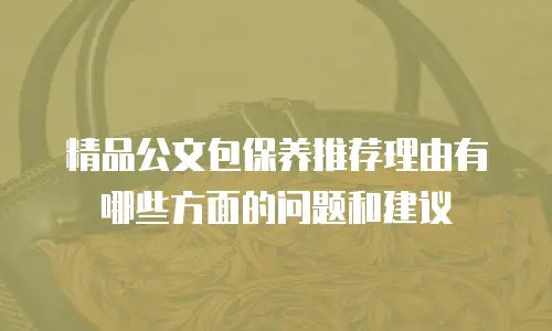 精品公文包保养推荐理由有哪些方面的问题和建议