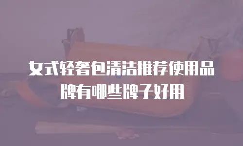 女式轻奢包清洁推荐使用品牌有哪些牌子好用