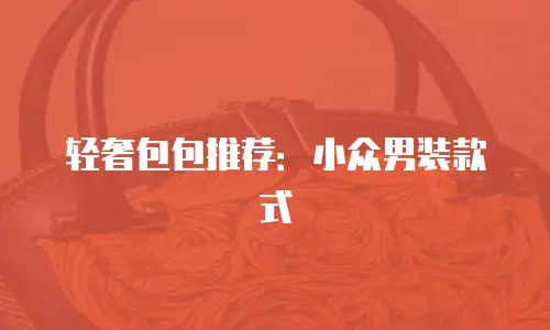 轻奢包包推荐：小众男装款式