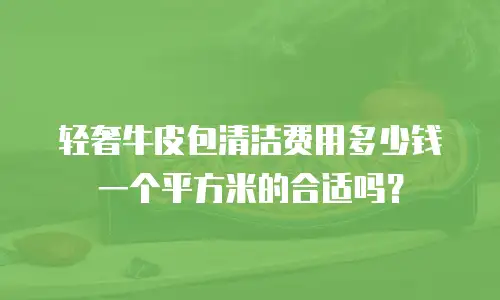 轻奢牛皮包清洁费用多少钱一个平方米的合适吗？