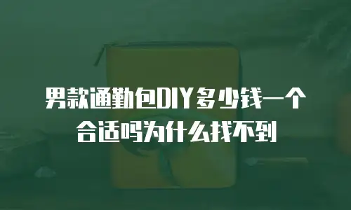 男款通勤包DIY多少钱一个合适吗为什么找不到