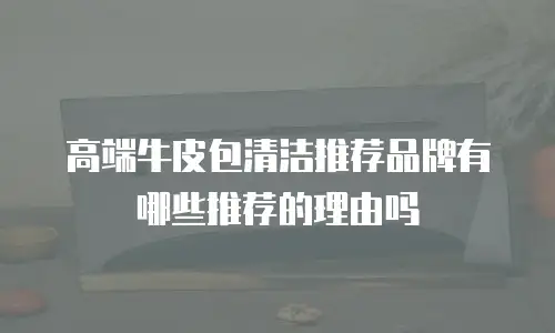 高端牛皮包清洁推荐品牌有哪些推荐的理由吗