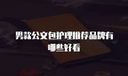 男款公文包护理推荐品牌有哪些好看