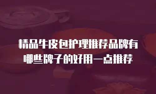 精品牛皮包护理推荐品牌有哪些牌子的好用一点推荐