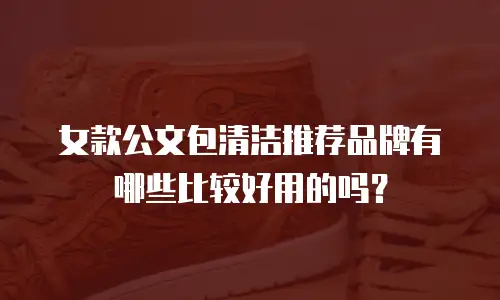 女款公文包清洁推荐品牌有哪些比较好用的吗？