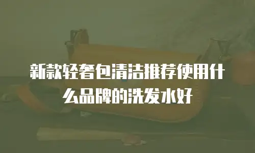 新款轻奢包清洁推荐使用什么品牌的洗发水好