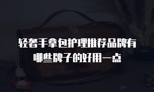 轻奢手拿包护理推荐品牌有哪些牌子的好用一点