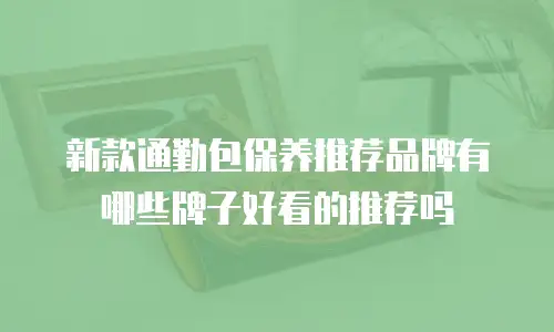 新款通勤包保养推荐品牌有哪些牌子好看的推荐吗