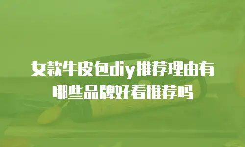 女款牛皮包diy推荐理由有哪些品牌好看推荐吗