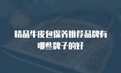 精品牛皮包保养推荐品牌有哪些牌子的好