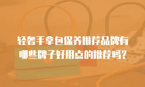 轻奢手拿包保养推荐品牌有哪些牌子好用点的推荐吗？