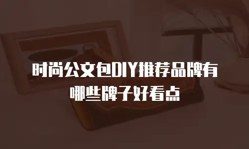 时尚公文包DIY推荐品牌有哪些牌子好看点