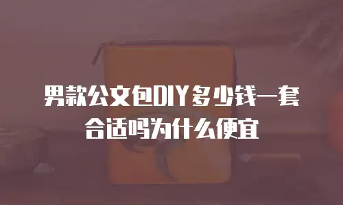 男款公文包DIY多少钱一套合适吗为什么便宜