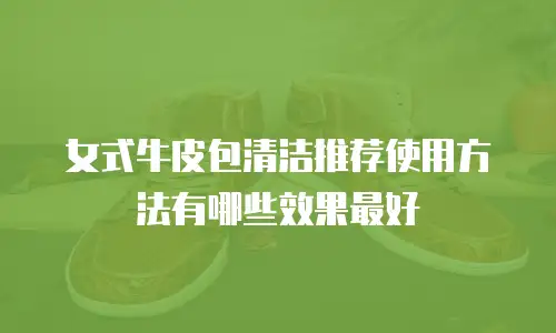 女式牛皮包清洁推荐使用方法有哪些效果最好