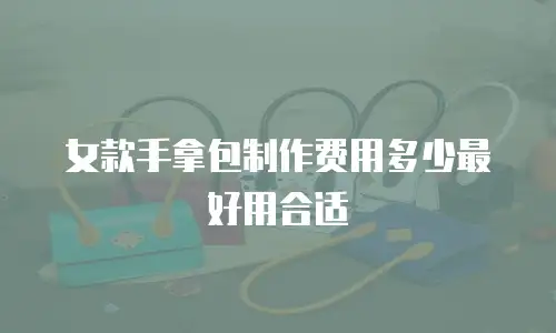 女款手拿包制作费用多少最好用合适