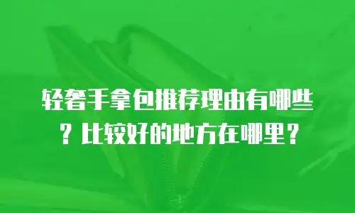 轻奢手拿包推荐理由有哪些？比较好的地方在哪里？