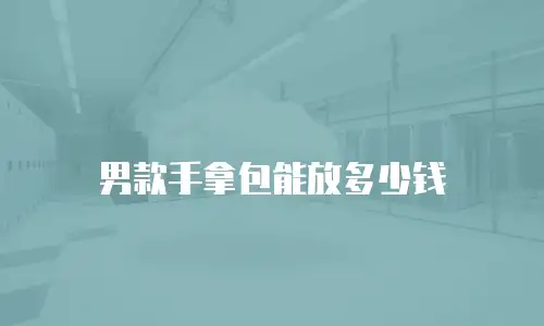 男款手拿包能放多少钱
