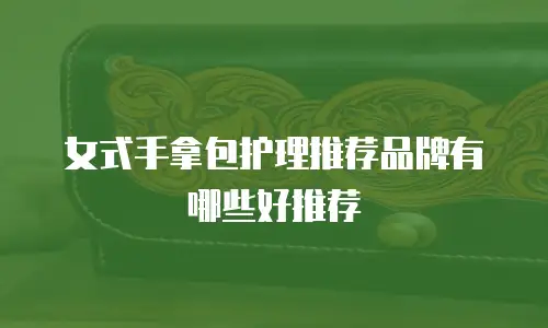 女式手拿包护理推荐品牌有哪些好推荐