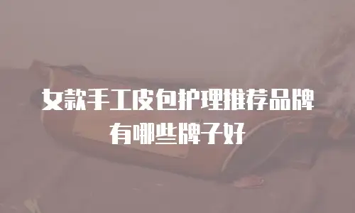 女款手工皮包护理推荐品牌有哪些牌子好