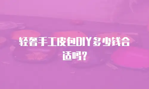 轻奢手工皮包DIY多少钱合适吗？