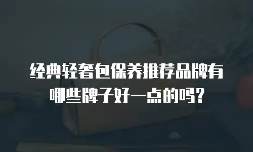 经典轻奢包保养推荐品牌有哪些牌子好一点的吗？