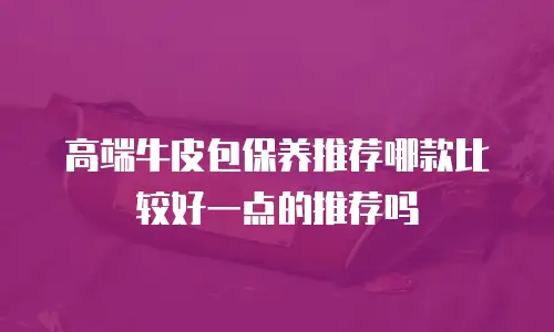 高端牛皮包保养推荐哪款比较好一点的推荐吗
