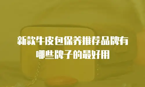 新款牛皮包保养推荐品牌有哪些牌子的最好用