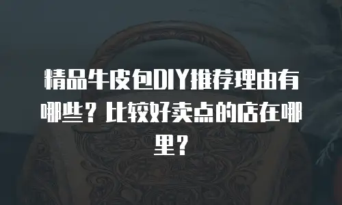 精品牛皮包DIY推荐理由有哪些？比较好卖点的店在哪里？