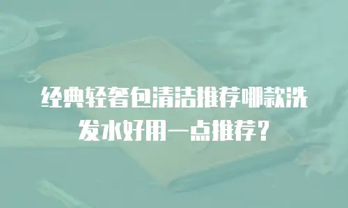 经典轻奢包清洁推荐哪款洗发水好用一点推荐？