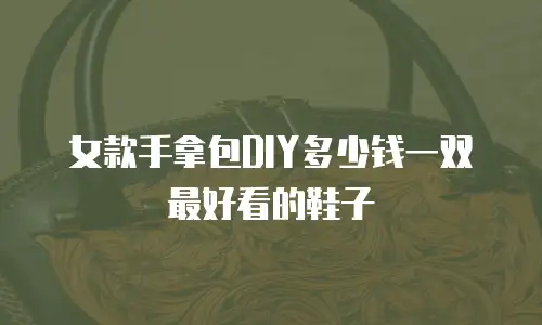 女款手拿包DIY多少钱一双最好看的鞋子