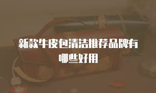 新款牛皮包清洁推荐品牌有哪些好用