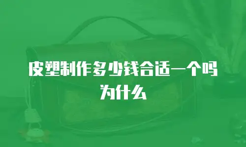 皮塑制作多少钱合适一个吗为什么