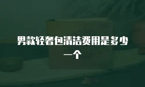 男款轻奢包清洁费用是多少一个