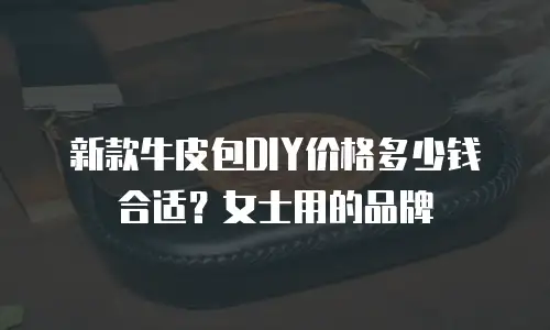 新款牛皮包DIY价格多少钱合适？女士用的品牌