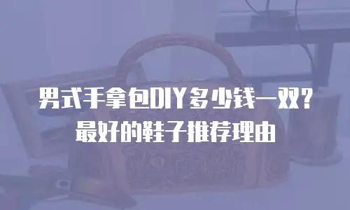 男式手拿包DIY多少钱一双？最好的鞋子推荐理由