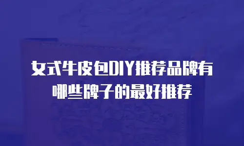 女式牛皮包DIY推荐品牌有哪些牌子的最好推荐