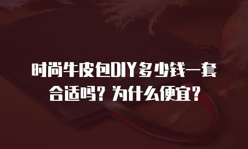 时尚牛皮包DIY多少钱一套合适吗？为什么便宜？