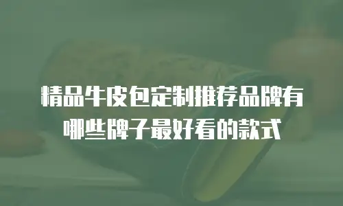 精品牛皮包定制推荐品牌有哪些牌子最好看的款式