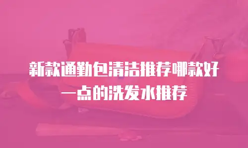 新款通勤包清洁推荐哪款好一点的洗发水推荐