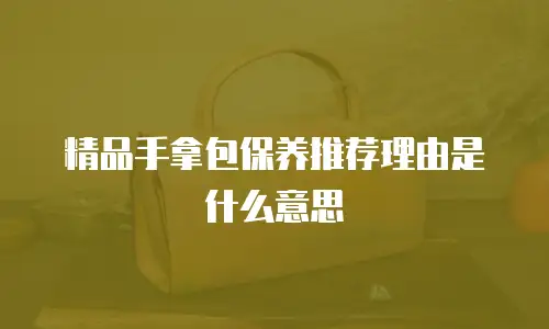 精品手拿包保养推荐理由是什么意思
