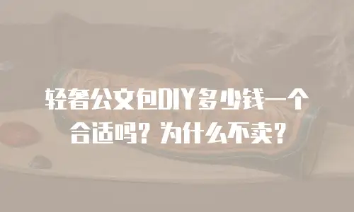 轻奢公文包DIY多少钱一个合适吗？为什么不卖？