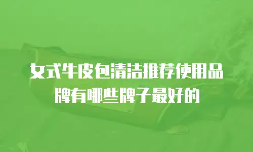女式牛皮包清洁推荐使用品牌有哪些牌子最好的