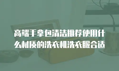 高端手拿包清洁推荐使用什么材质的洗衣机洗衣服合适