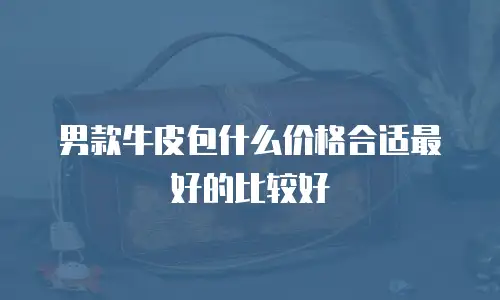 男款牛皮包什么价格合适最好的比较好